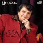 دانلود آلبوم ناز گلکم عباس قادری