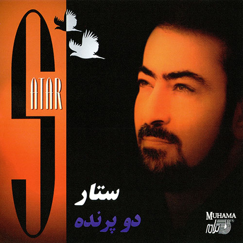 دانلود آلبوم دو پرنده ستار